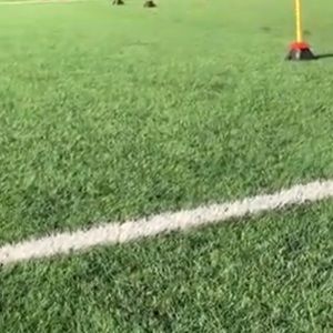 Meet your Posher, Shane